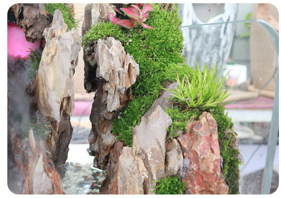15-60cm Ohko Dragon Stone Seiryu Rocks for Aquarium Decoration Fish Tank Ornaments