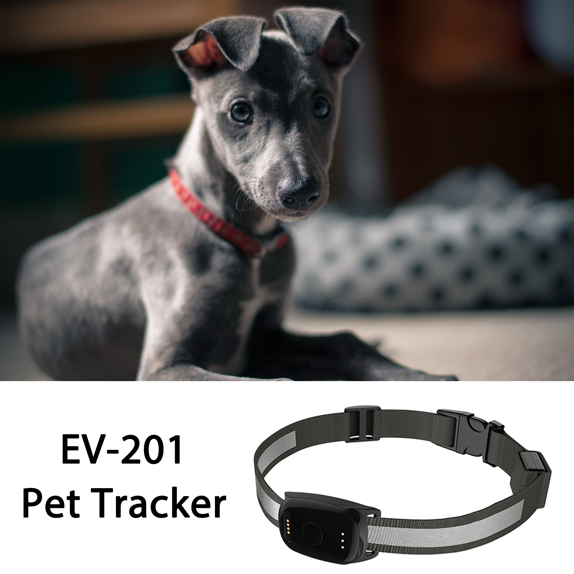 4G GPS Tracker for Dogs , 4G GPS Pet Tracker Collar, Mini GPS Pet Tracking Device