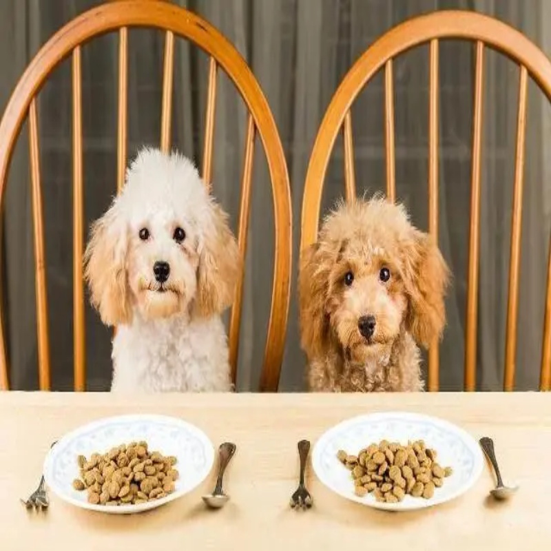 Freeze Dried egg Yolk Pet Food Pet Freeze Dried Raw Food Diet