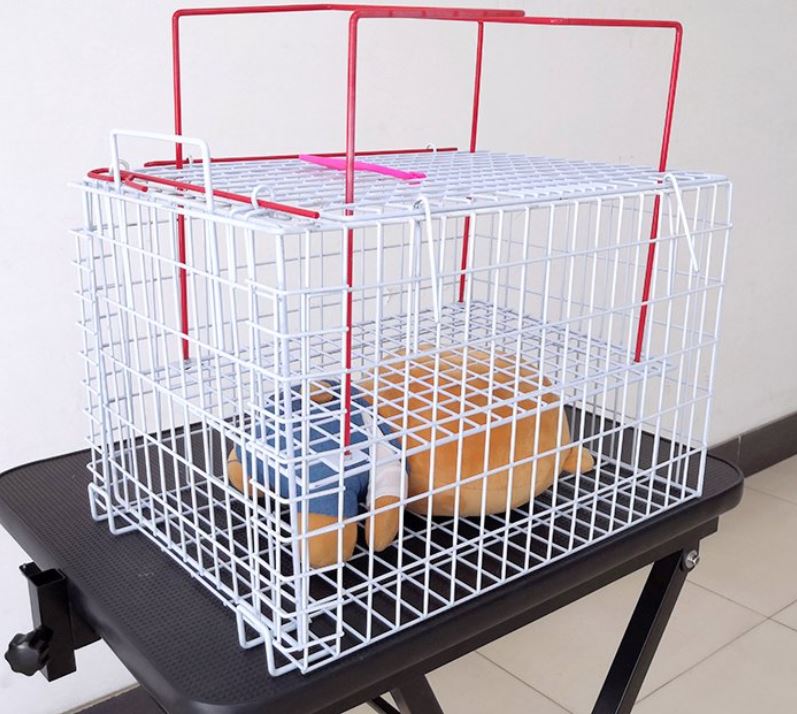 Low price high quality outdoor portable pet Carrier with quail Animal cage Carry your pet to hospital portable cage