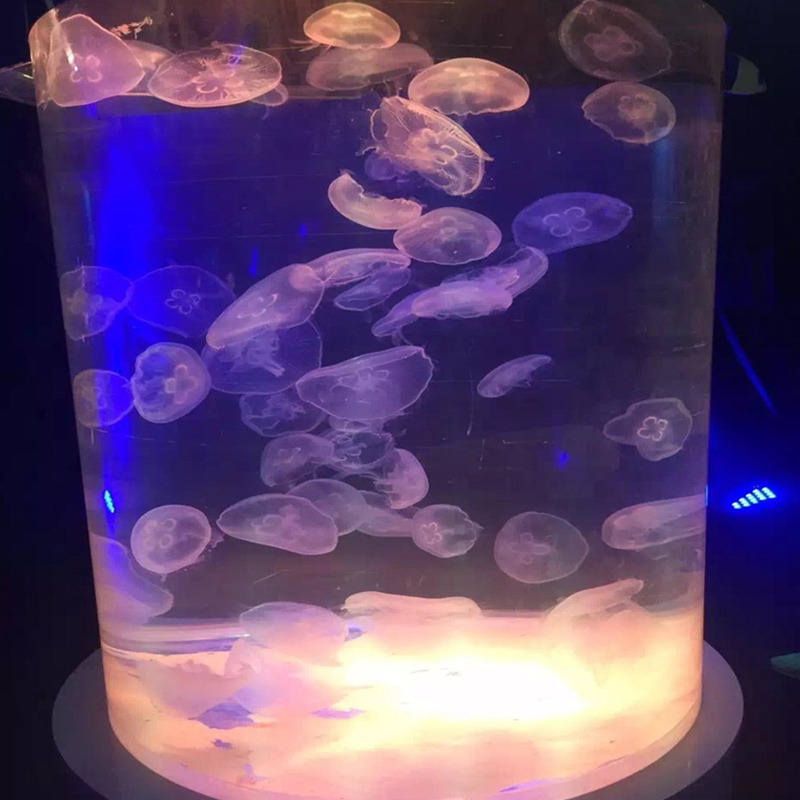 Hot sale factory wholesale direct price Large Cylinder Acrylic Fish Aquarium For Sale