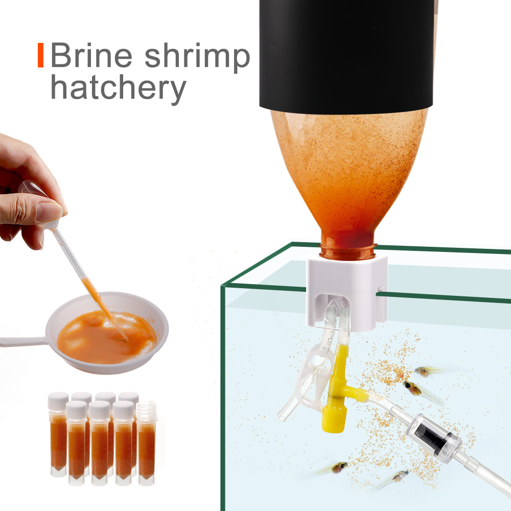 Factory supply baby brine shrimp hatchery starter kit