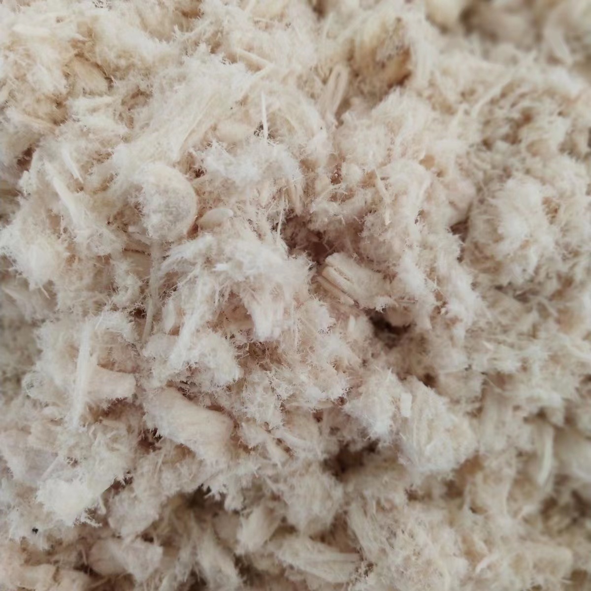 Pet freeze-dried snacks Freeze dried chicken breast Chicken meat floss Wholesale freeze-dried dog snacks cat Treats cat snacks