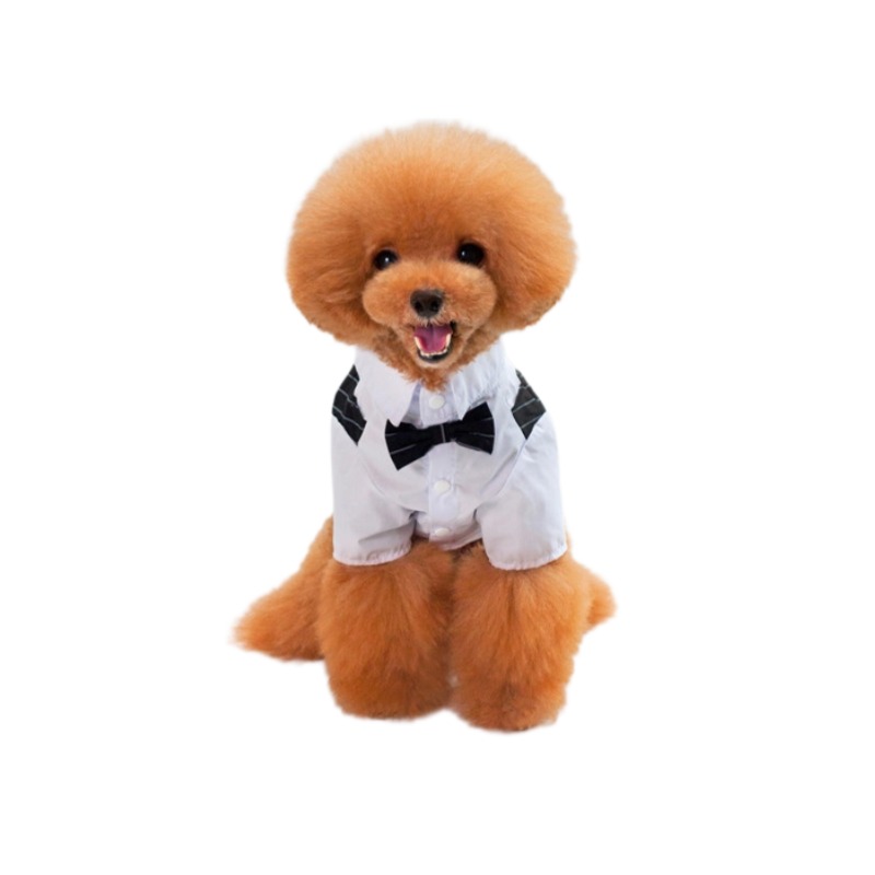 New Type Halloween Skull Black Pet Clothes for Dog and Cat Fascinating Price Cotton XXL Size for Summer and Winter Parties
