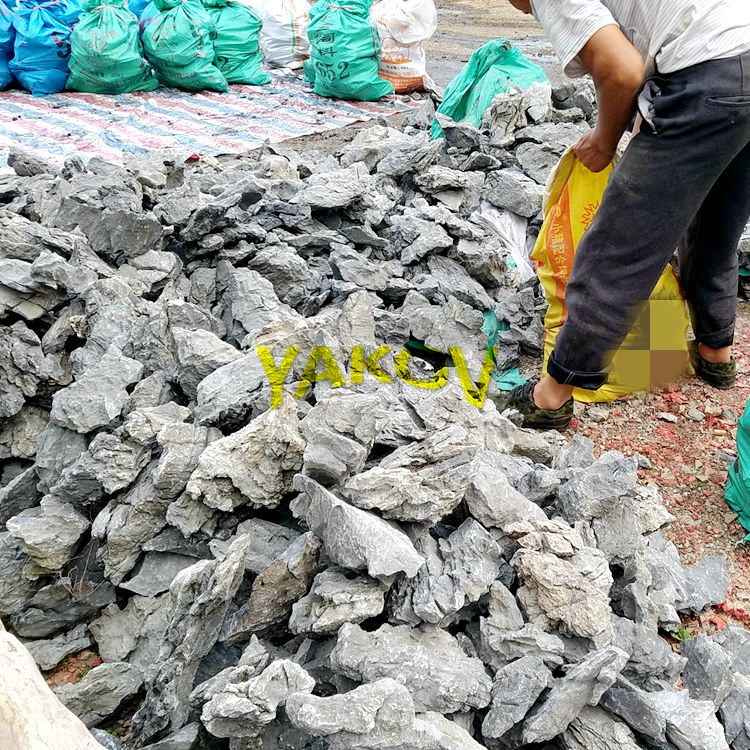 natural Seiryu rock stone for aquariums decoration