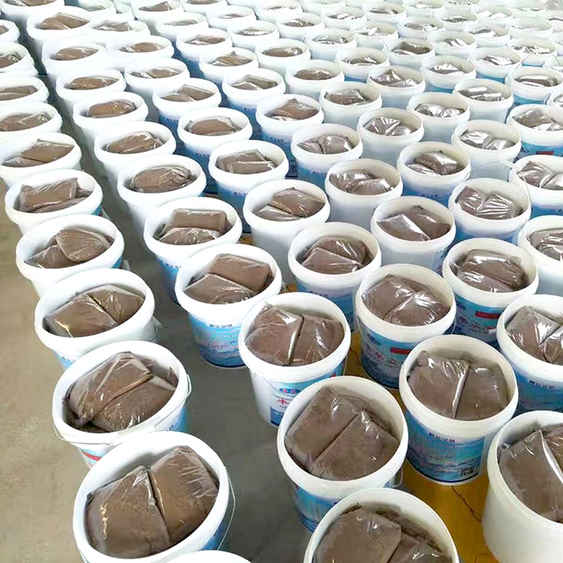 artemia cysts shrimp feed brine shrimp eggs