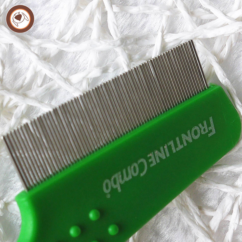 Wholesale Long Handle Pet Dog Cat Animal Puppy Poodle Hair Nit Lice Flea Louse Nit Free Comb With Stainless Steel Pins