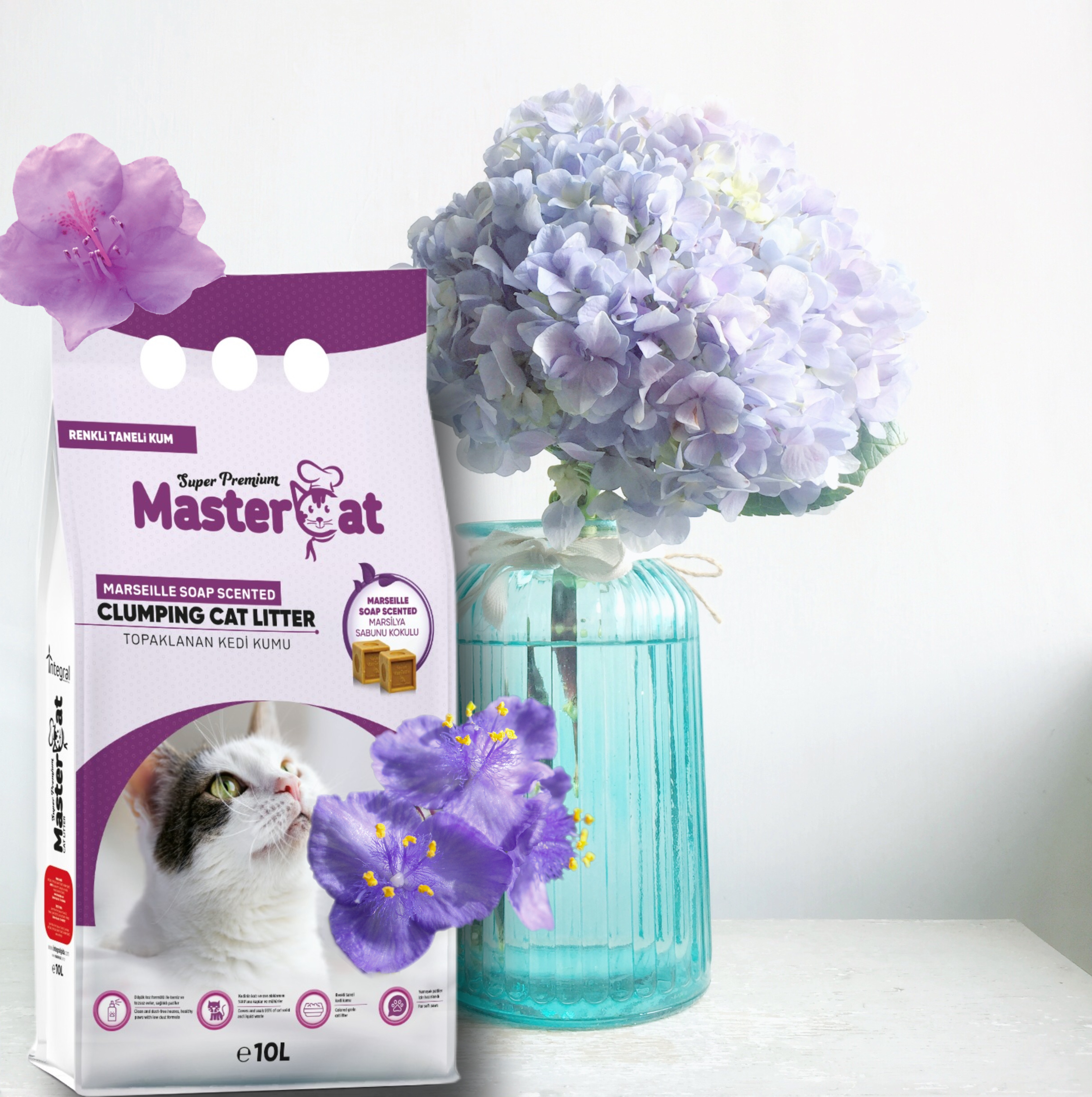 High Quality 10L MasterCat Sand Bentonite Cat Litter Box with Fast Clumping Marseille Soup Scent Wholesale for Cats