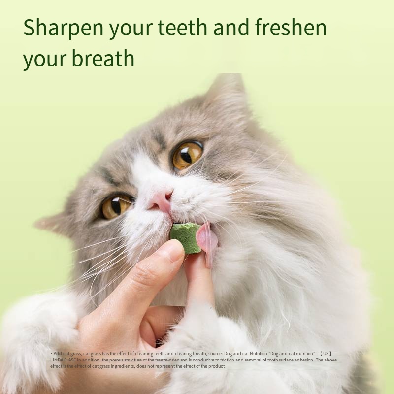 Cat grass teeth cleaning stick gently removes hair balls freeze-dried cat and dog snacks OEM ODM