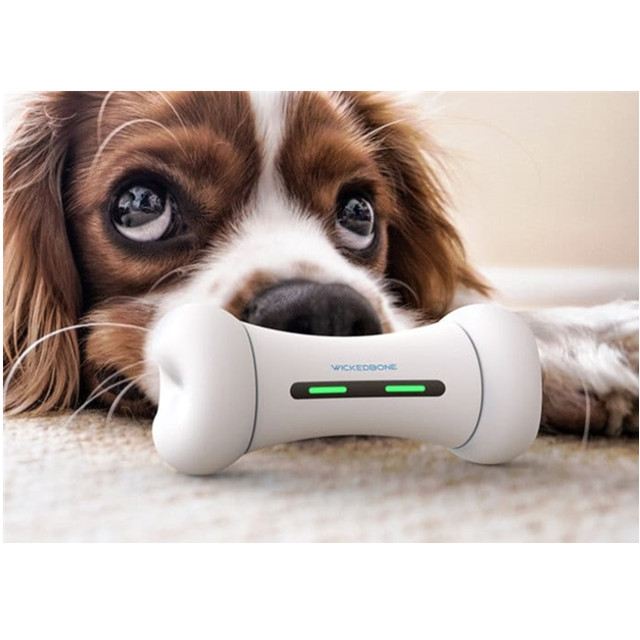 World's first new smart pet toy for smart dog toy girl and boy as dog chew bone