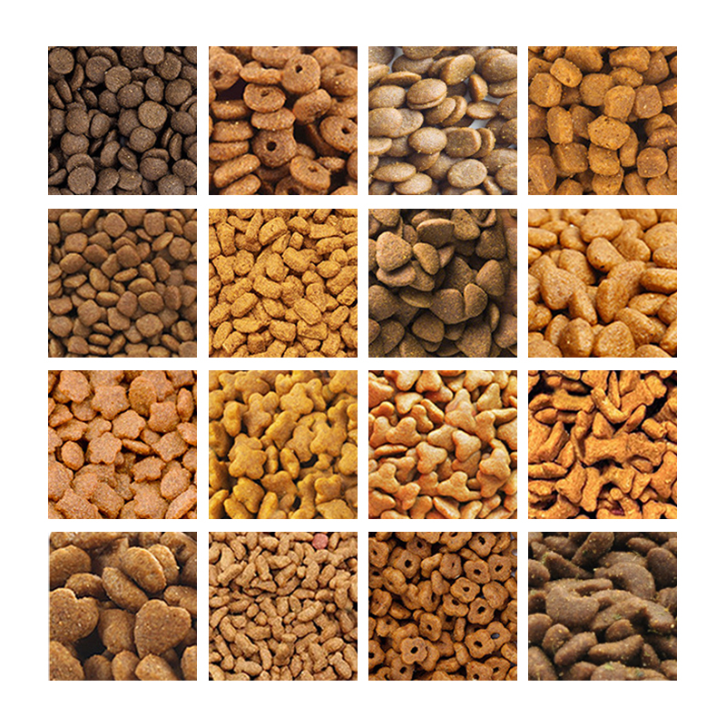 Explosive Models All Life Stage Dry Food for Cats Aafco Requirements Compliant