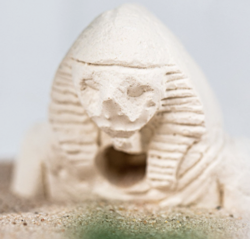 Ant Farm Colony Sphinx Design in Clear Acrylic Box
