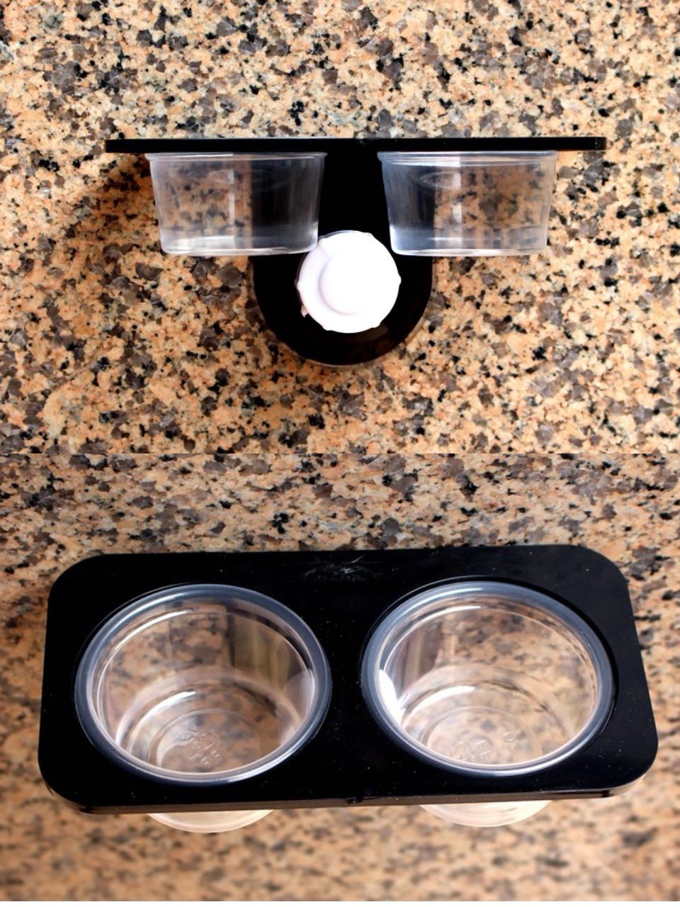 Reptiles & Amphibians Lizard Gecko Suction Cup Feed Bowls Food Container with Bowl for Reptile Food and Water Feeding