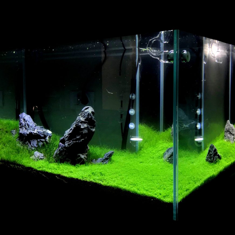 factory price aquarium decoration ornaments acid washed Seiryu stone