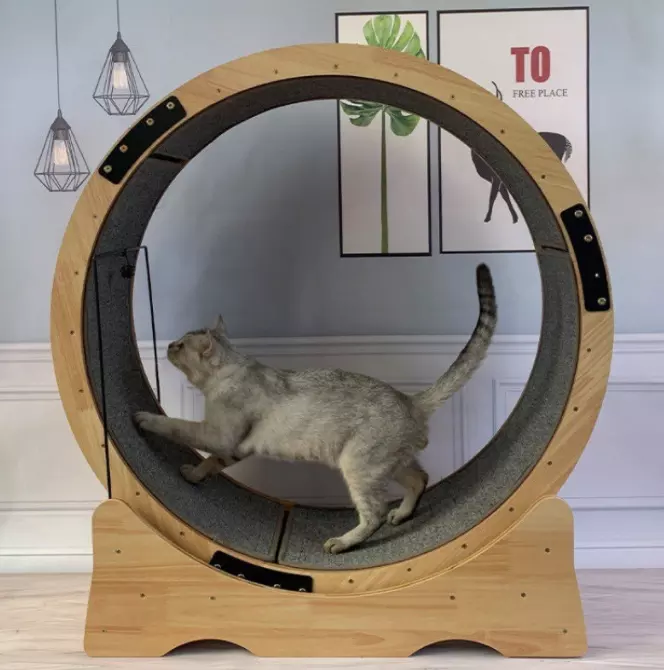 Customized Pet exercise treadmill Large cat treadmill leisure toy solid wood fitness wheel cat scratching board