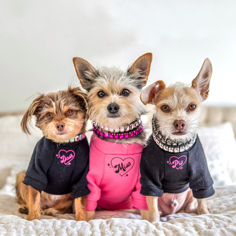 2026 New Collar, Cute Dazzling Sparkling Soft Leather Cat Rhinestone Crystal Diamond Dog Puppy Collar Jewelry Necklace Pet Gift Rose Red S 147 Free Sh