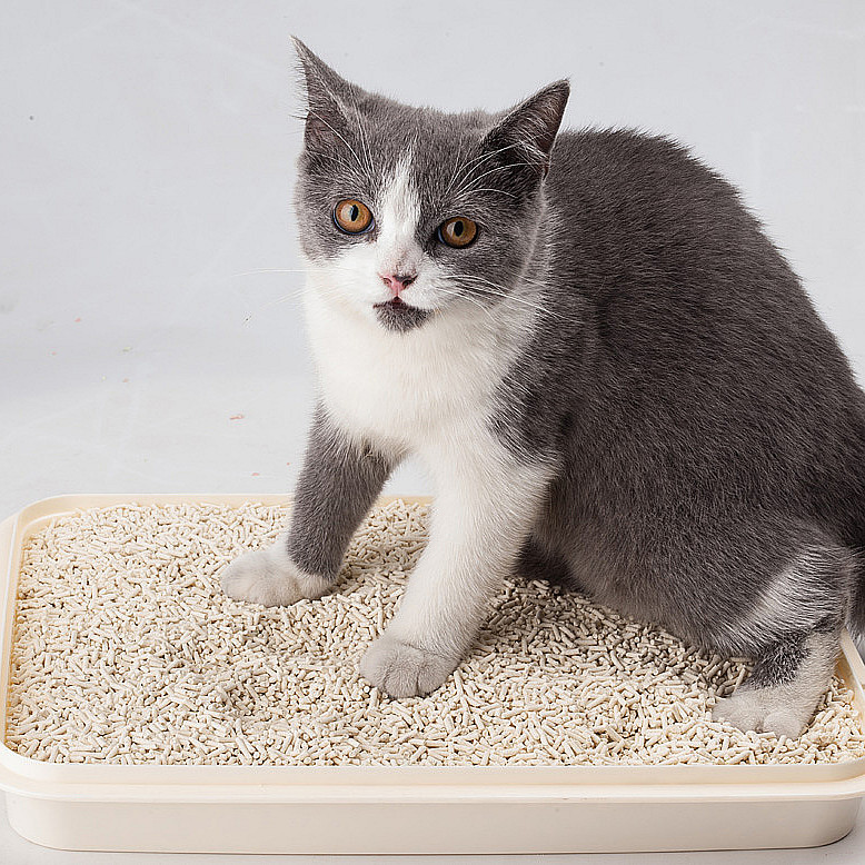 high quality tofu cat litter new broken tofu cat litter popular cat litter tofu flushable