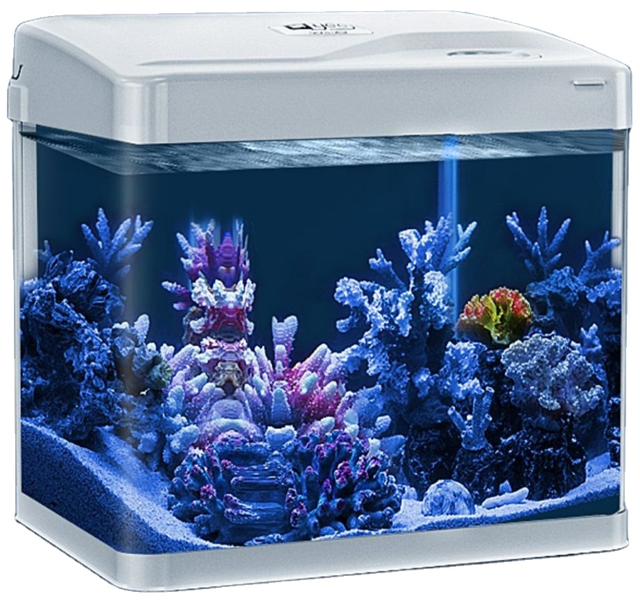 top sale aquarium desktop fish tank