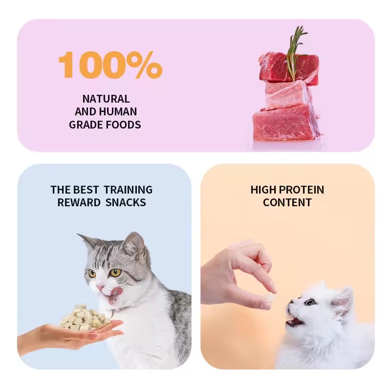 High Quality Freezed Dried Fresh Fish Dry Treat Cat Snacks for adult cat