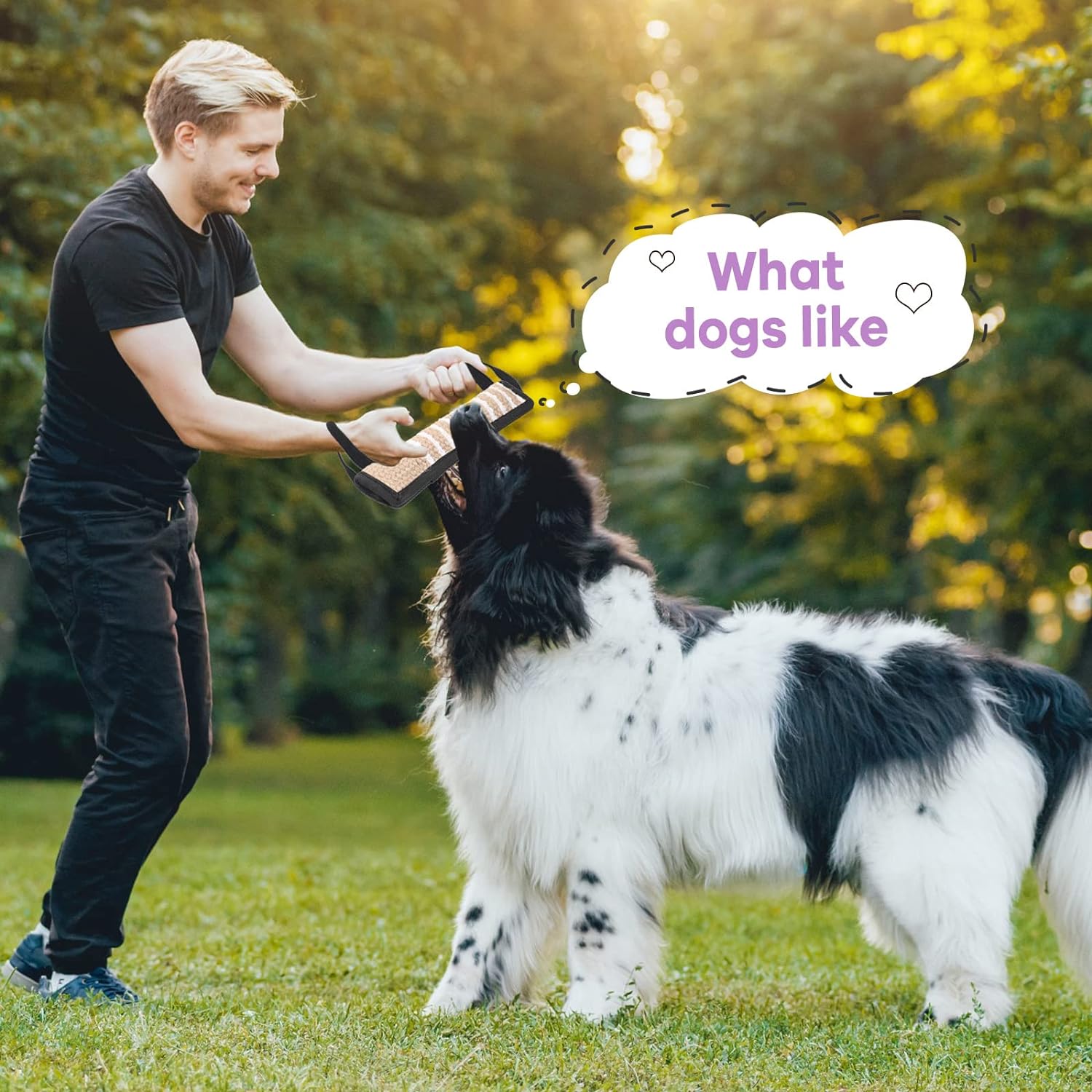 Durable nylon mixed fabric dog bite tug toy, tear resistant suitable for tug-of-war, suitable for small medium-sized dog toys