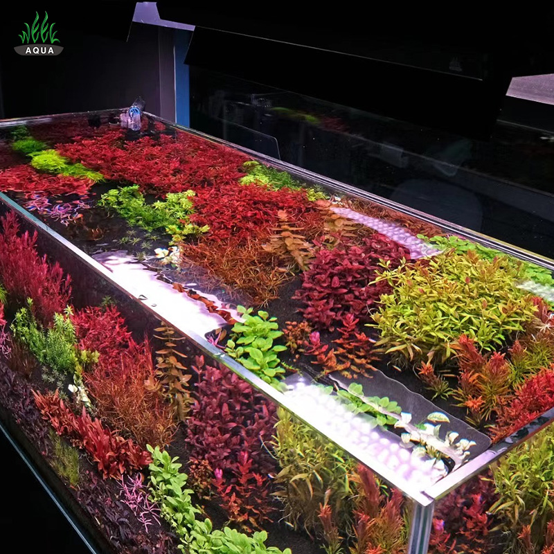 WEEK AQUA Hot sale A430Pro 120W LED RGB+UV full spectrum electroless dimming aquarium light aquariums accessories