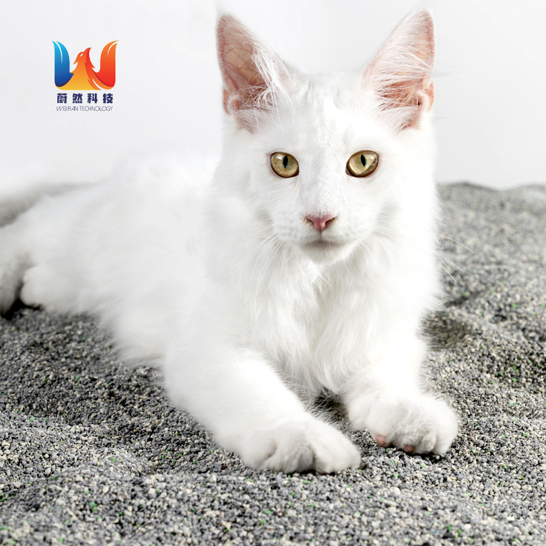 Wholesale High Quality Cat Sand Bentonite More Sanitary Cat Litter With Scent