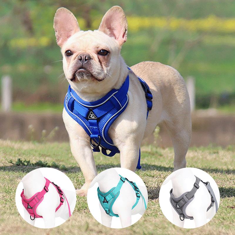 Pet Supplies Reflective Nylon Adjustable Outdoors Dog Harness Collar Leash