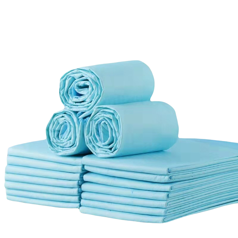 Indoor Pet Urine Absorbent Training Pee Pads Nappies for Animals Thick Deodorizing Dog Diaper with Printed Feature