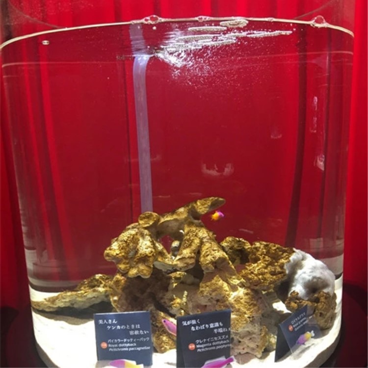 Latest promotion price seamless cylinder large fish tank acrylic aquarium