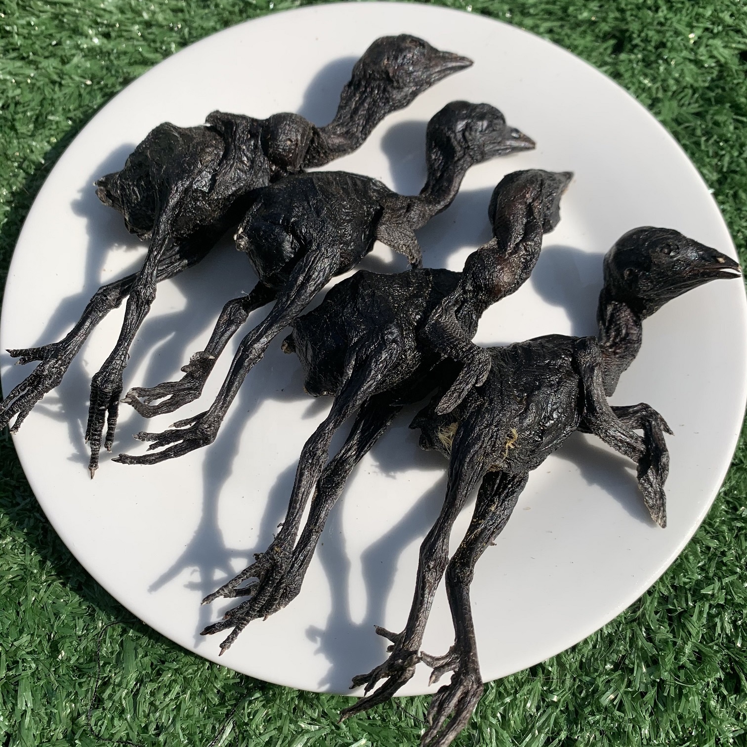 Freeze dried dog snack dog food Freeze dried black chicken Wholesale of freeze-dried pet snacks cat Treats