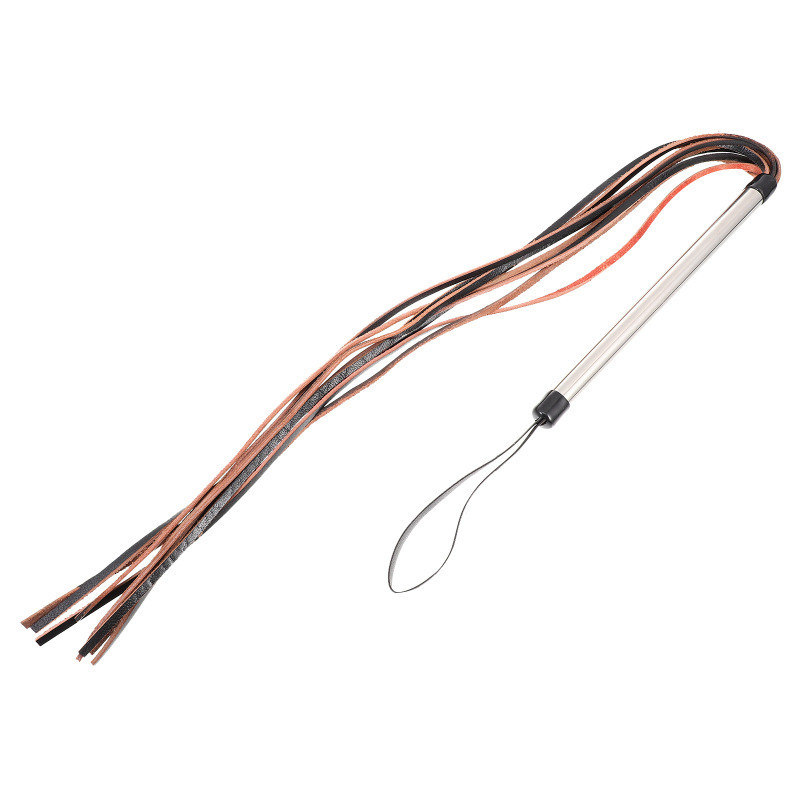 Dropshipping Teaser Pole Teaser Pole Dog Training Bullwhip Pet Toy Pet Training Supplies Factory Price