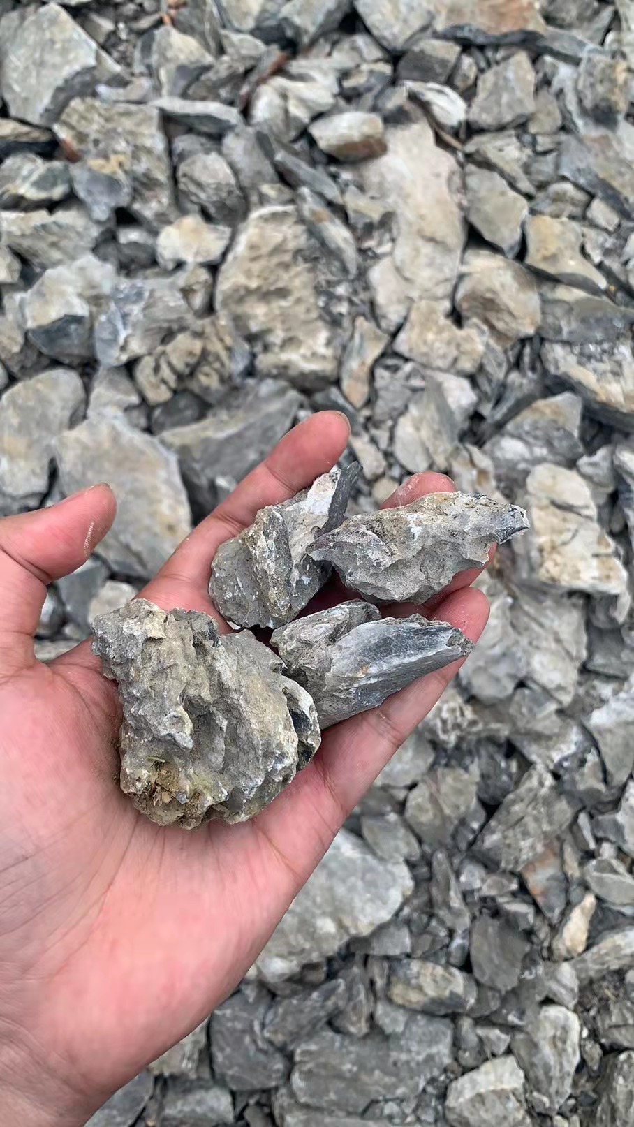 Seiryu stone natural dragon rock aquarium stone For Fish Tank Decoration and gardening