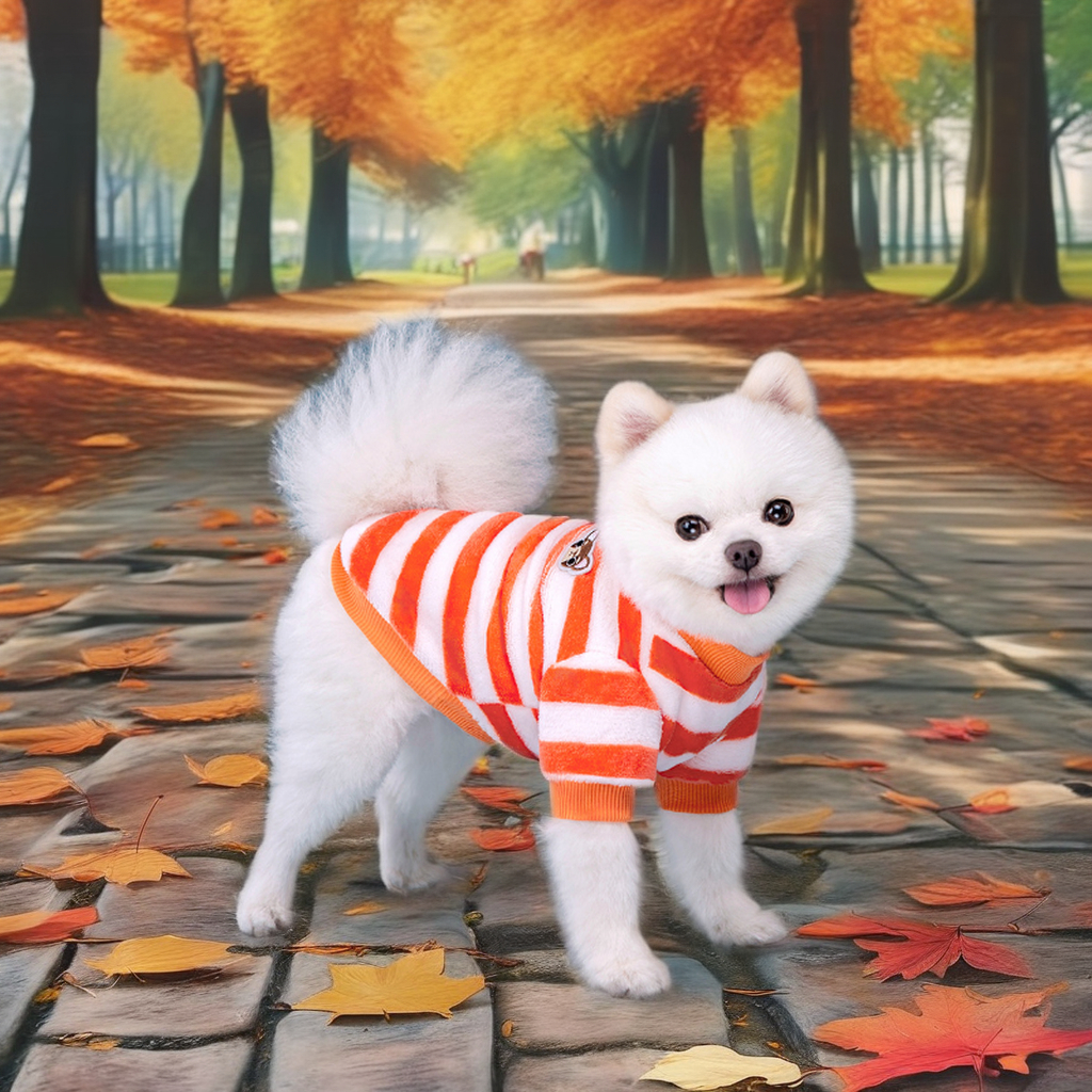 Autumn Spring Pet clothing Luxury Custom Pet Dog Hoodie Clothes Pet Sweatshirt