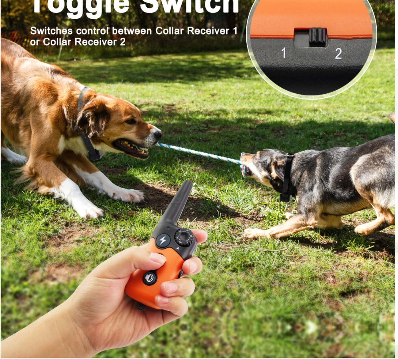best selling pet training waterproof and rechargeable dog trainer remote dog training collar