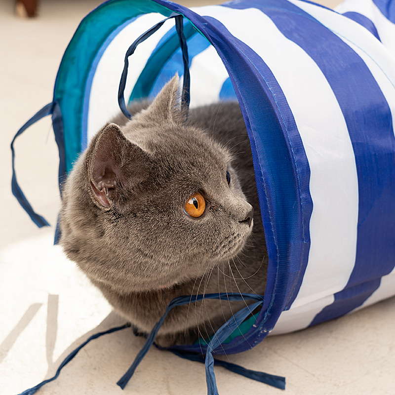 Cat Toys Collapsible Tunnel for Rabbits, Kittens, Ferrets and Dogs