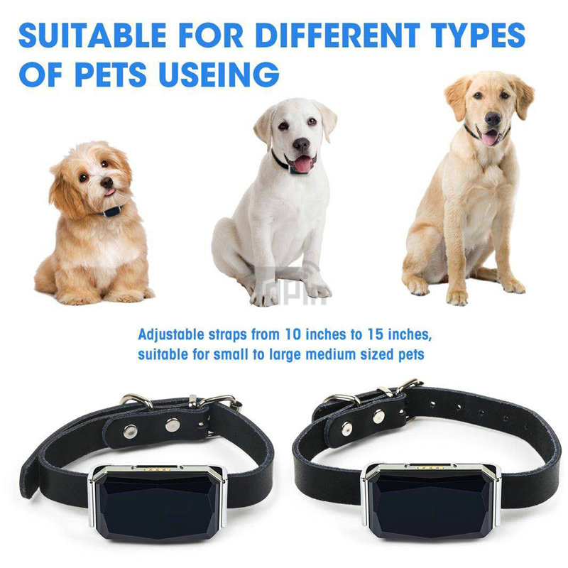 New Arrival IP67 Waterproof Pet Collar GSM AGPS Wifi LBS Mini Light GPS Tracker or Pets Dogs Cats Cattle Sheep Tracking Locator