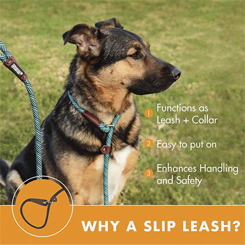 Extremely Durable Dog Leash Premium Quality Mountain Climbing Rope Lead Dog Leash For Walking Dog