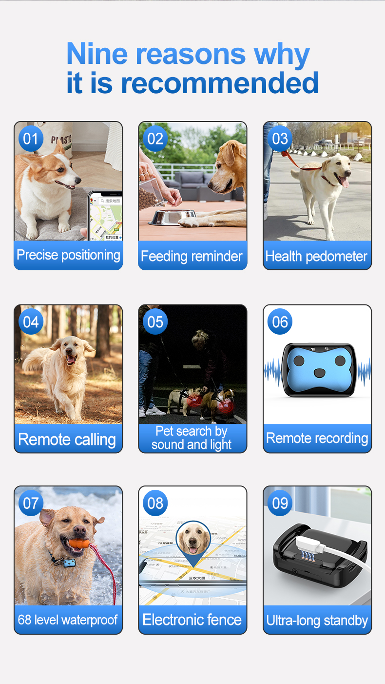 Wholesale Location Collar Low Price Smart Mini Locsmart D87 GPS Pet Tracker