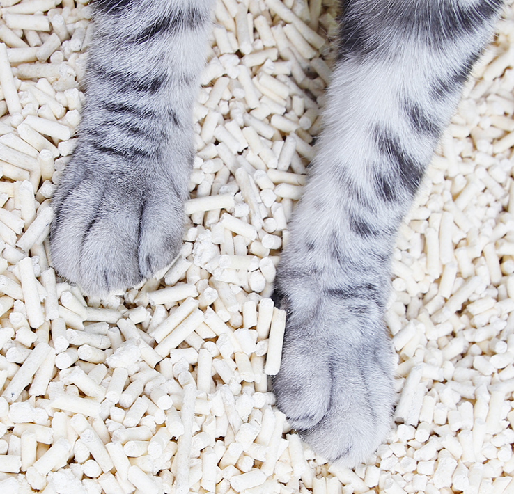 Natural Absorbent Scented Clumping Cat Sand Tofu Cat Litter