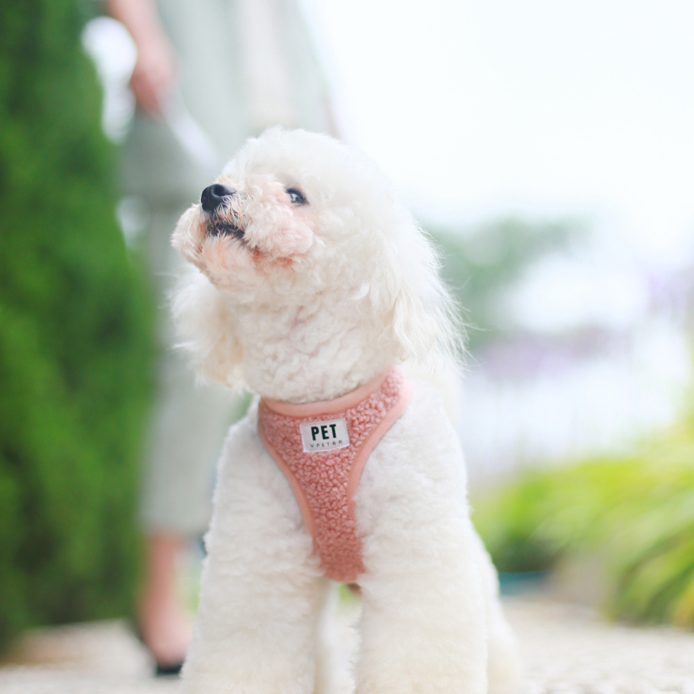 Dropshipping New Traction Rope Breathable Dog Pet Chest Harness Set