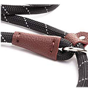 Extremely Durable Dog Leash Premium Quality Mountain Climbing Rope Lead Dog Leash For Walking Dog
