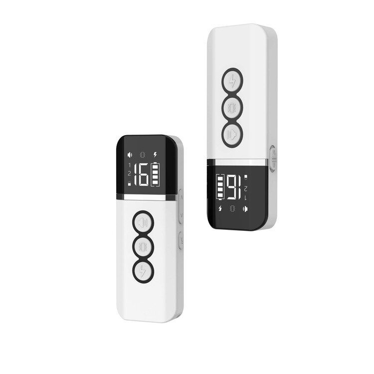 New Product Ideas 2022 Dog Training Equipment Magnetic Charging Remote Electric Dog Training Collars for 2 Dogs