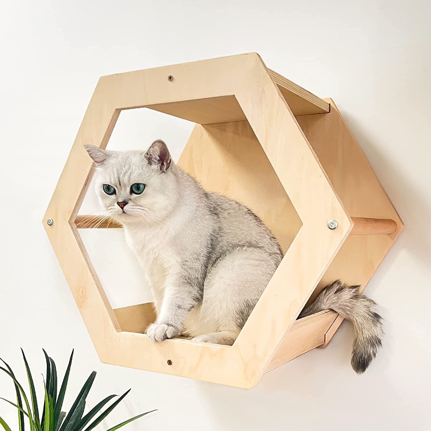 Indoor cat rack Hexagonal cat nest wooden wall-mounted cat apartment with ladder