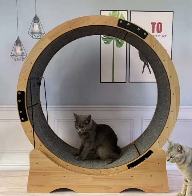 Customized Pet exercise treadmill Large cat treadmill leisure toy solid wood fitness wheel cat scratching board