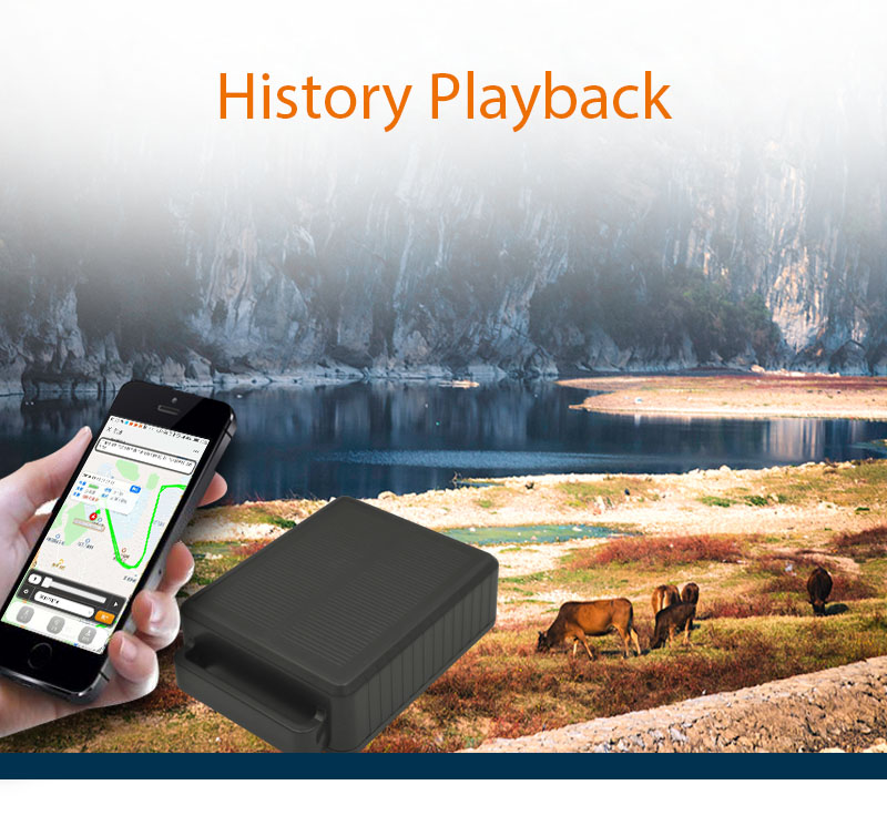 Solar Power Tracking Device Pet Tracker Gps Charger Livestock Cattle Big Animal Cow Collar Electric Devices Guangdong