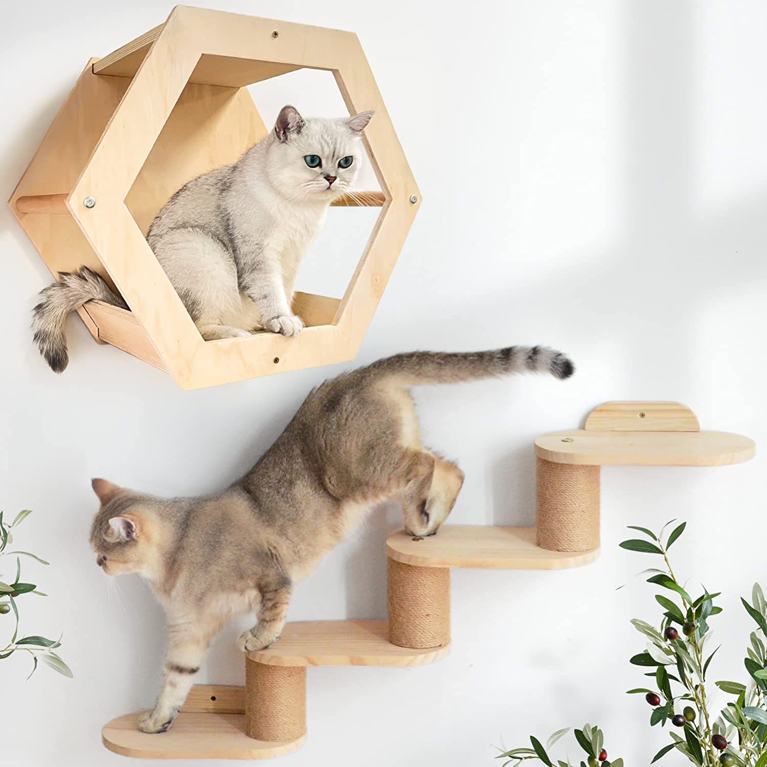 Indoor cat rack Hexagonal cat nest wooden wall-mounted cat apartment with ladder