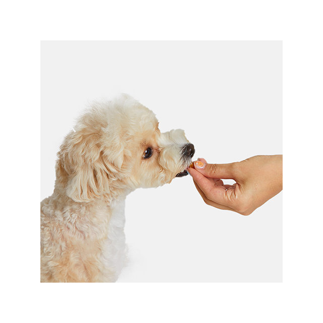 Wholesale Korean Separation Anxiety Relief Healthy Delicious Pet Food Calming Treats Dog Snack Buddyboo Nose Treat Relax