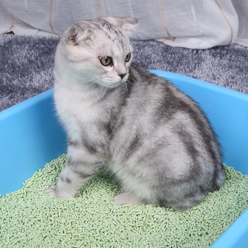 Excellent quality Low price eco-friendly non-sticky natural guar gum tofu crushed cat litter