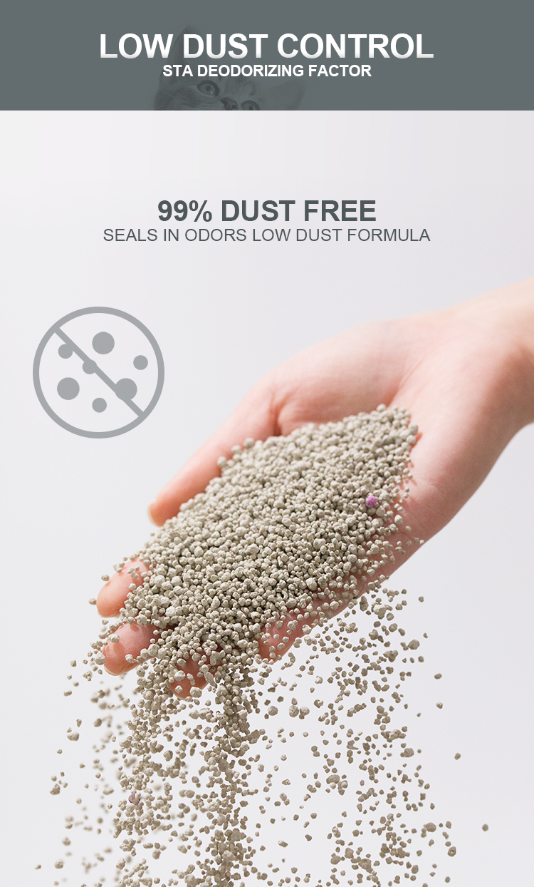High Water Absorption Fast-Clumping Bentonite Cat Litter Direct from Manufacturer