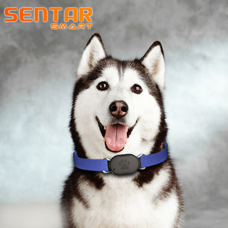 Mini GPS Tracker for Dog / Animals / Pet GPS Tracker with Long Battery Life